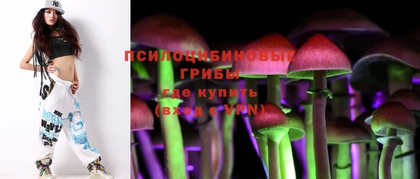 спиды Алексин
