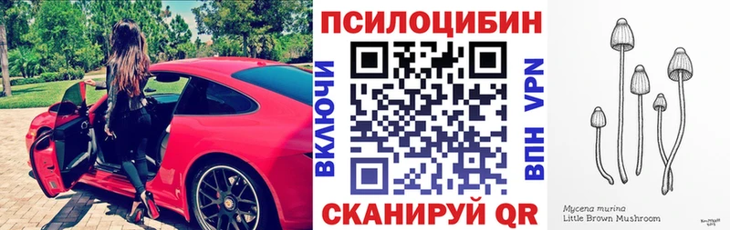 сколько стоит Алушта Галлюциногенные грибы Psilocybe