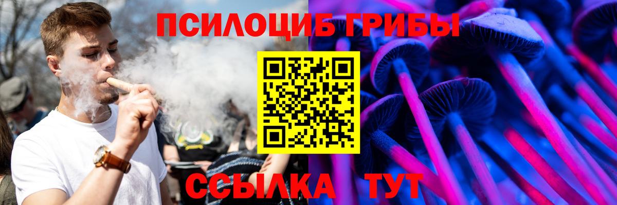 Псилоцибиновые грибы прущие грибы  Вход с VPN  Алушта  Псилоцибиновые грибы Cubensis 